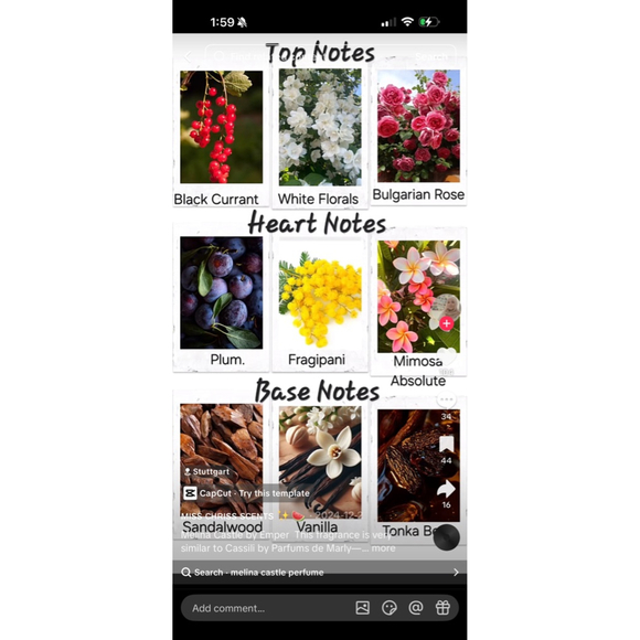 melina - Picture 5 of 7